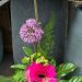 Boeket van de week: € 6.50