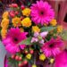 Boeket van de week: € 6.50