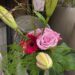 Boeket van de week: € 6.50