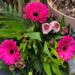 Boeket van de week: € 6.50