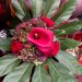 Boeket van de week: € 6.50