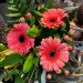 Boeket van de week: € 6.50