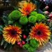 Boeket van de week: € 6.50